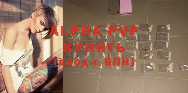 стафф Корсаков