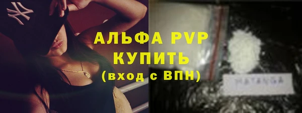 сатива Козельск