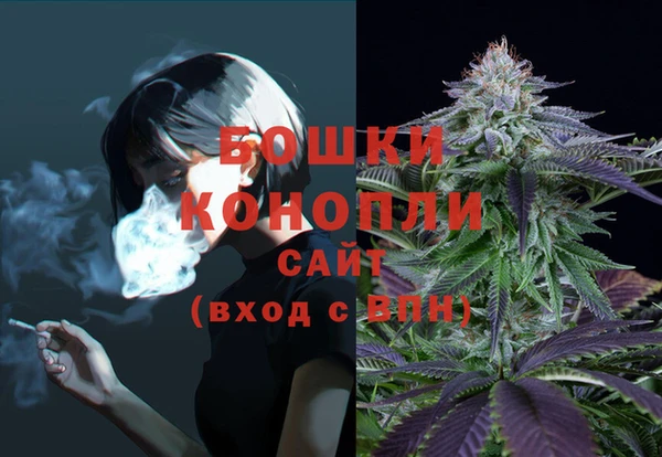 стафф Корсаков