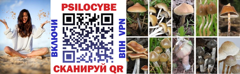 Псилоцибиновые грибы ЛСД  Купить  Петровск 